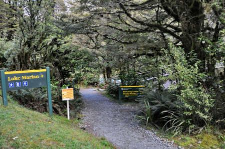 Lake Marina hiking track in Fiordland National Park, South Island, New Zealandの写真素材