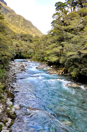 Lake Marina hiking track in Fiordland National Park, South Island, New Zealandの写真素材