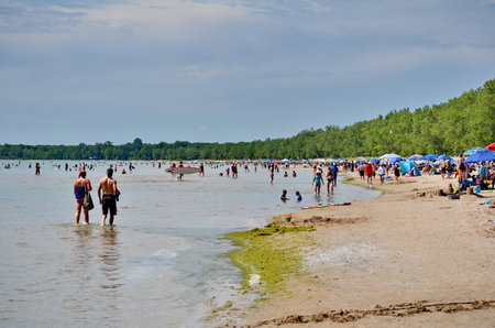 Prince Edward County, Ontario, Canada, July 13, 2022: People enjoy the beach at Sandbanks Provincial Park. Sandbanks is located on the north-east side of Lake Ontario.のeditorial素材