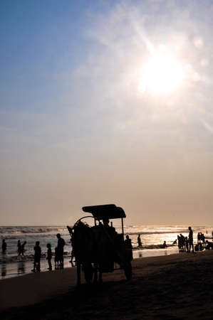 Silhouette of a horse in the afternoon at the beachの写真素材