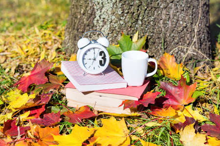 books with coffee cup and clock on a colorful leaves background - autumn conceptの写真素材