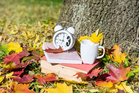 books with coffee cup and clock on a colorful leaves background - autumn conceptの写真素材