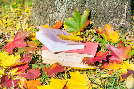 books with colorful autumn leaves - autumn conceptの写真素材