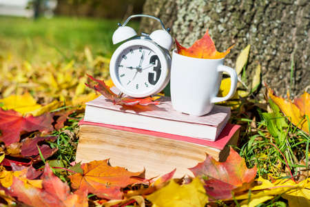 books with coffee cup and clock on a colorful leaves background - autumn conceptの写真素材