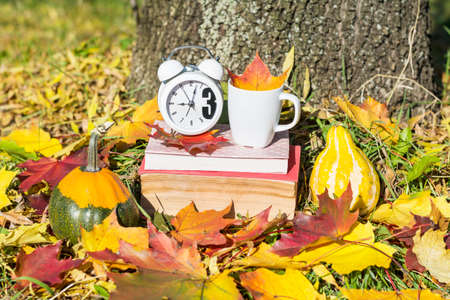 books with coffee cup and clock on a colorful leaves background - autumn concept