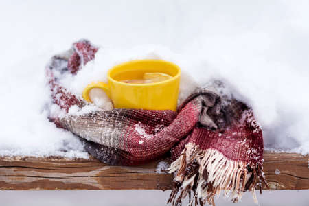 mug of tea with lemon slice wrapped in a knitted scarf on the snowの写真素材