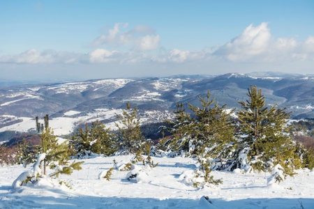 Winter mountain landscape with snow covered trees and blue sky with white cloudsの写真素材
