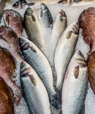 Fresh fish on ice at the market in Barcelona, Catalonia, Spainの写真素材