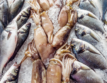 Fresh seafood on ice at the fish market. Seafood background.の写真素材