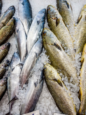 Fresh fish on ice for sale at a fish market in Venice, Italyの写真素材