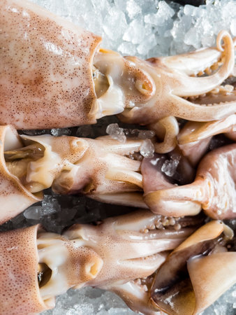 Fresh squid on ice. Seafood background. Close up view.