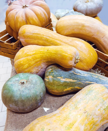 Autumn harvest of pumpkins and squashes on a table.の写真素材