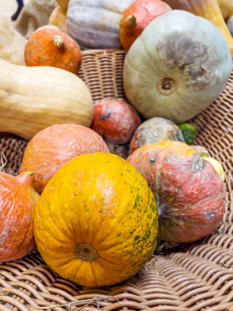 Colorful pumpkins in a basket, closeup of photo.の写真素材