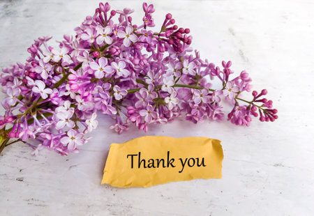 Purple lilac flowers and yellow card with thank you text.の写真素材
