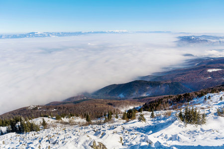 Beautiful winter landscape in the mountains. Carpathians, Ukraine, Europeの写真素材