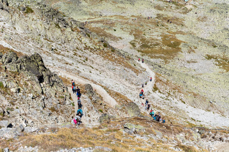 Group of hikers on the trail in the Carpathian mountains.の写真素材