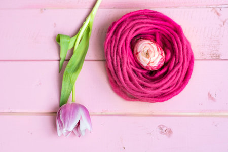 Pink tulips and pink yarn on a pink wooden backgroundの写真素材