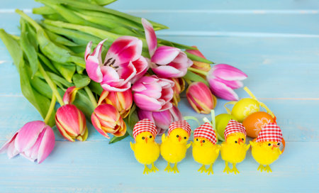 Easter eggs, tulips and chickens on blue wooden background.