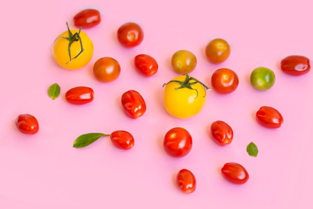 Variety of colorful cherry tomatoes on pink background. Top view.の写真素材