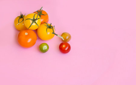 Variety of colorful cherry tomatoes on pink background with copy space.の写真素材
