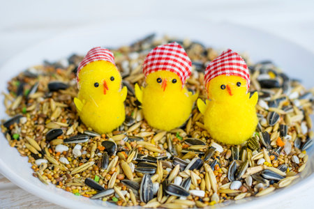 Cute easter chickens with sunflower seeds and sunflower seedsの写真素材