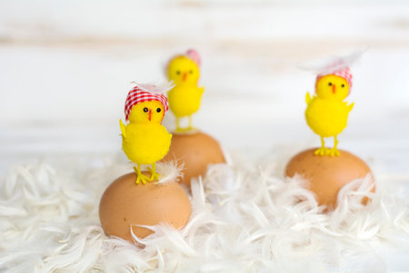 Easter eggs with yellow chickens on white feathers on wooden background.の写真素材