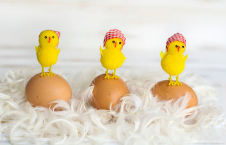 Easter chicks in eggshells on white wooden background, easter conceptの写真素材
