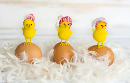 Easter eggs with yellow chickens on white feathers on wooden background.の写真素材