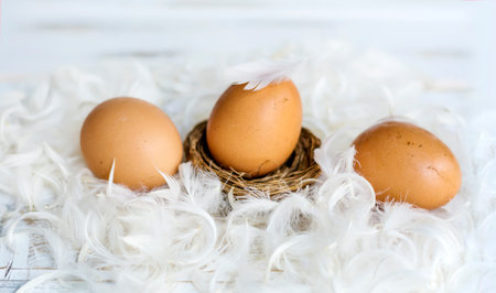 Easter eggs in a nest with feathers on a white wooden backgroundの写真素材