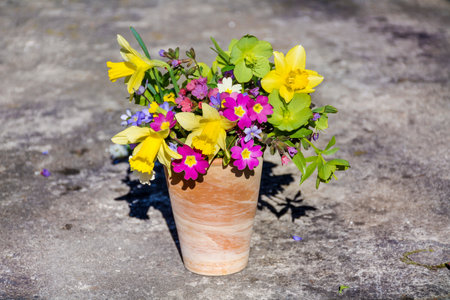 Bouquet of daffodils and primroses in a vaseの写真素材