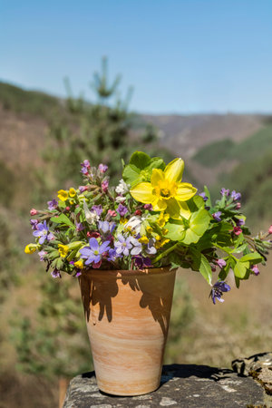 Bouquet of spring flowers in a clay pot on a background of mountainsの写真素材