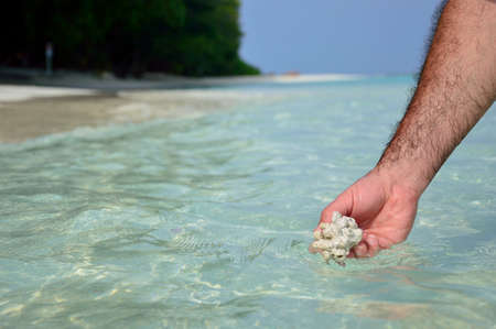 coral on my hand with blue sea background