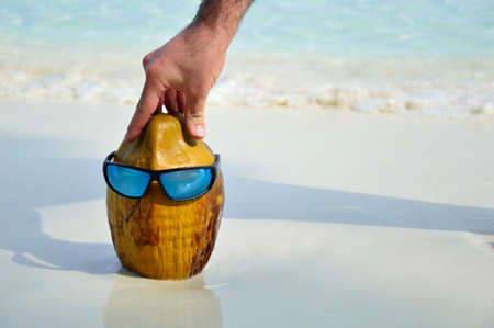 coconut on the white beachの写真素材