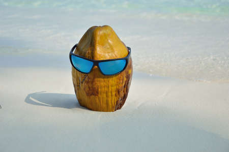 coconut on the white beach