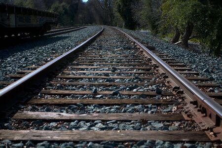 Railroad track in miller park Sacramento taken with wide depth of field