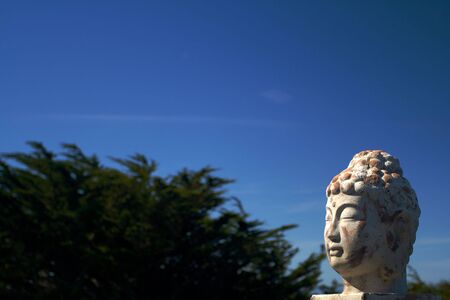 An Asian Ceramic Head against a Cypress tree or bush with a blue sky background