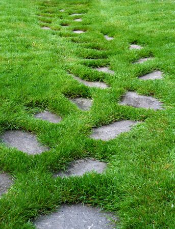 Stone  Paver Path on a lush green grass lawnの写真素材