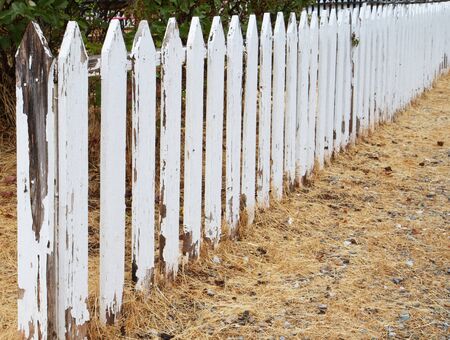 Weathered and peeling white picket fence trialing into dimishing perspectiveの写真素材