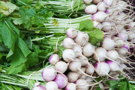 Pile of white and violet radishes at the farmers market with green leavesの写真素材