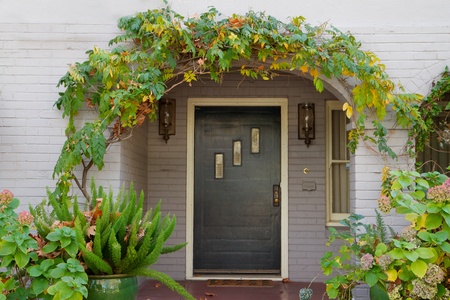 Wisteria arched  black windowed door with further framing of fern and other plantsの写真素材