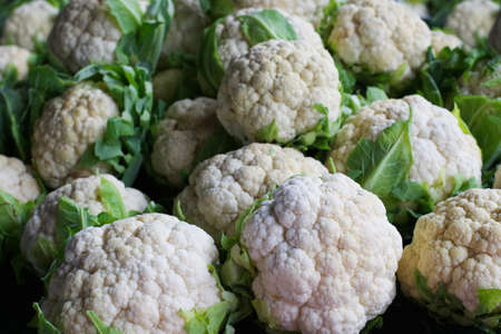 Pile of white and green Cauliflower heads at the farmers marketの写真素材