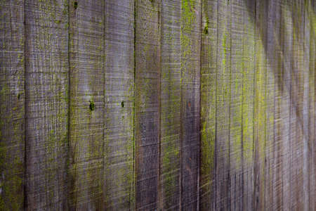Weathered redwood fence in sun and shade with green mossの写真素材