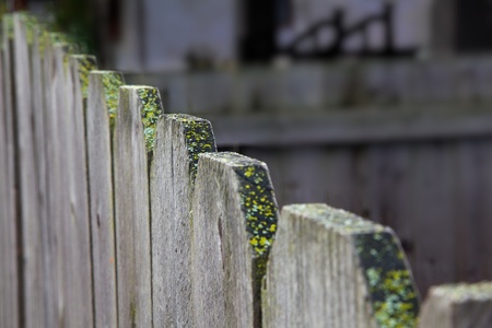 The top of a redwood fence at a diagonal diminshing to soft focusの写真素材