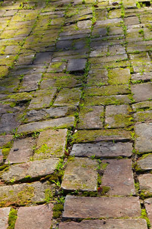 Old sidewalk of worn moss and grass covered red bricksの写真素材