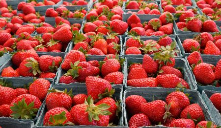 Red strawberries on table at the Farmers Marketの写真素材