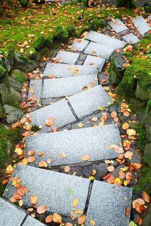 outdoor downward leading steps outdoor in a parkの写真素材