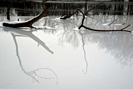 Abstract winter reflection in iceの写真素材