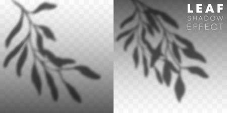 Set of leaf shadow overlay effect on transparent background. Vector illustration.のイラスト素材