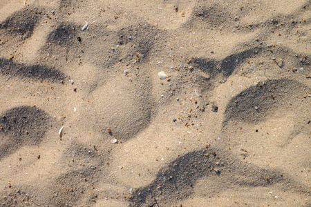 Sand pattern background