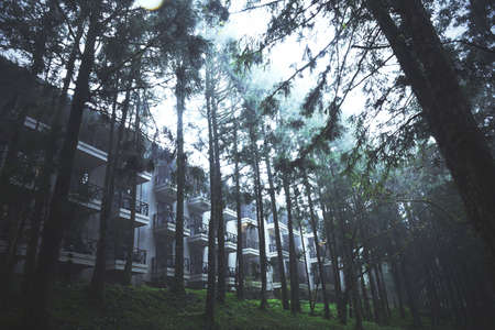 Pacific Resort